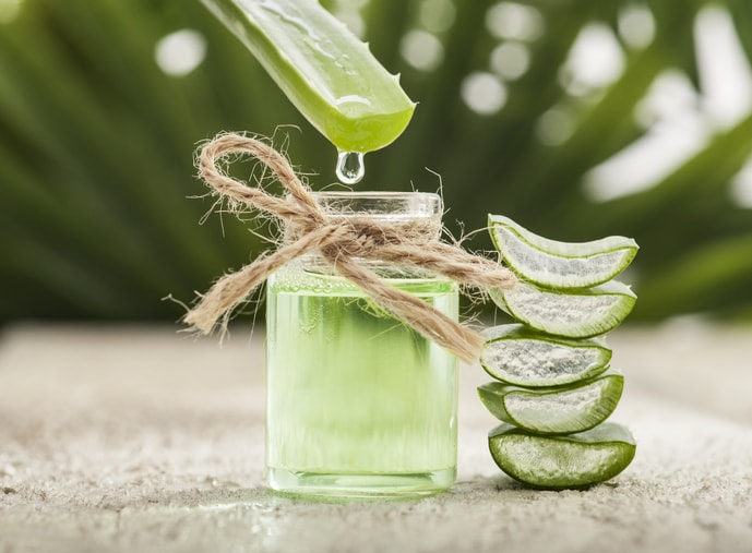 ale vera is a strong supplement for alternative healing from zuma nutrition