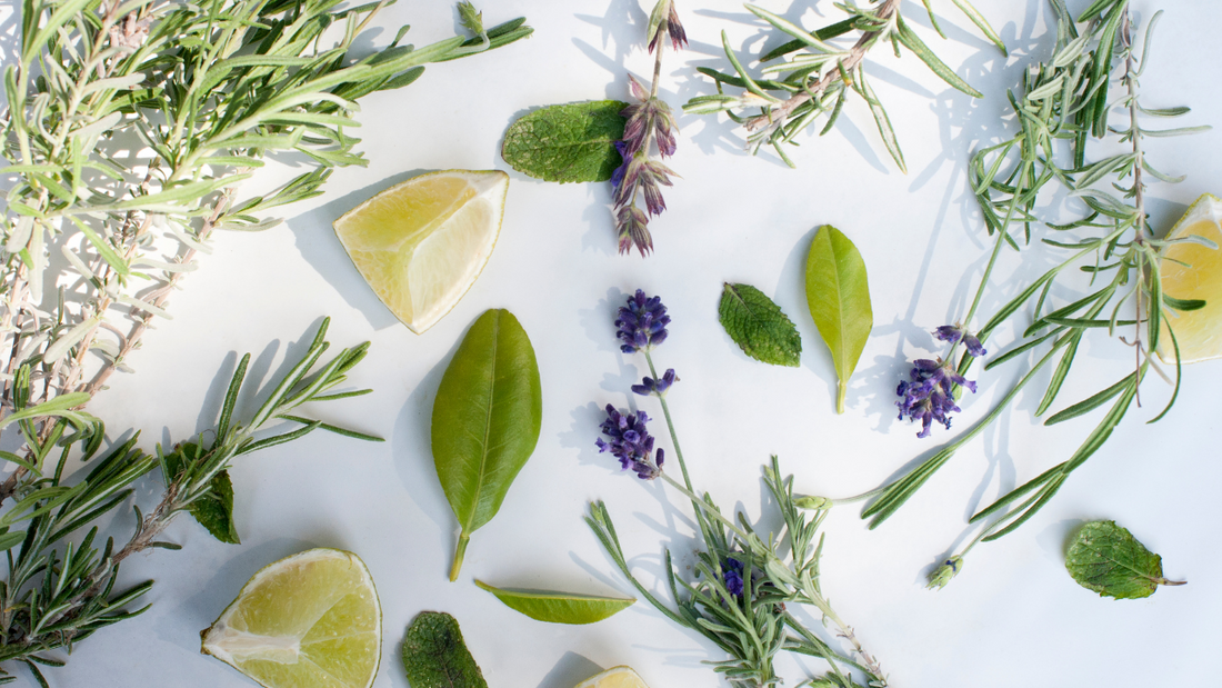 aromatic herbs