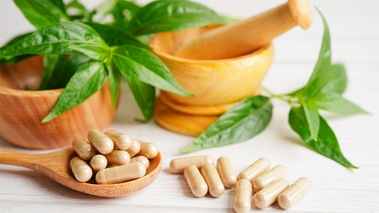 liver herbs hepatics