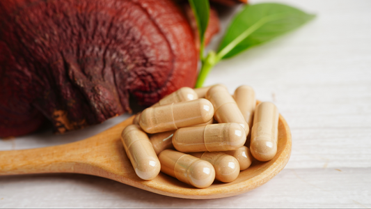 medicinal mushroom immunity complex