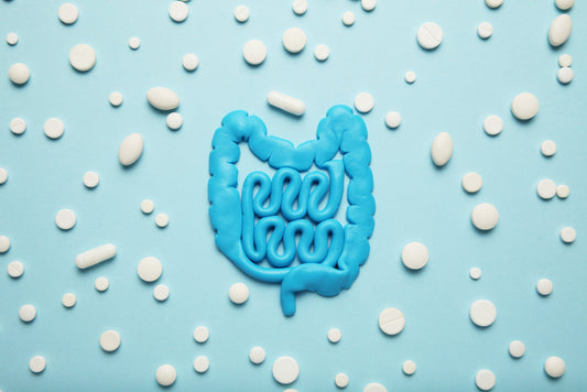 probiotics and antibiotics