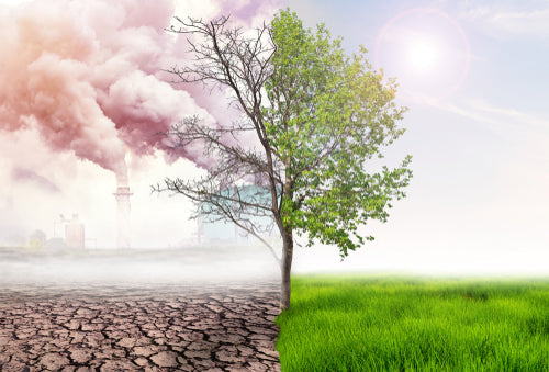 Understanding Environmental Toxins and How to Protect Your Health