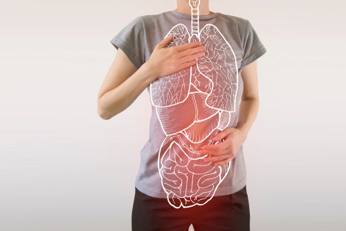 How to Manage SIBO Naturally: A Holistic Approach