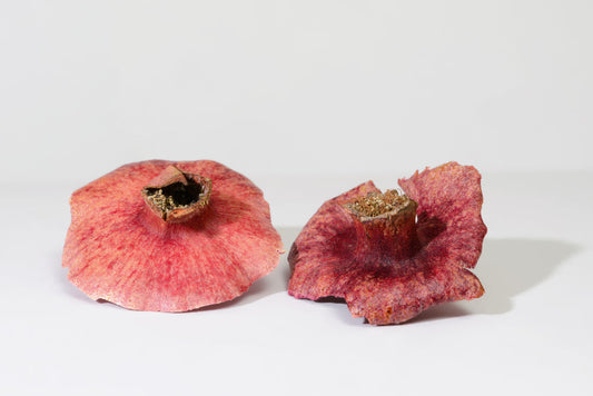 Understanding and Managing SIBO: Diet, Herbs, and Probiotics