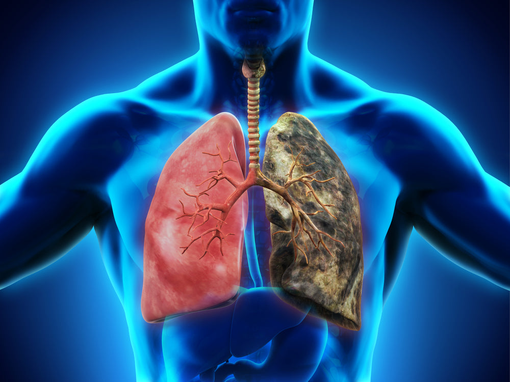 How to Clean the Lungs Naturally