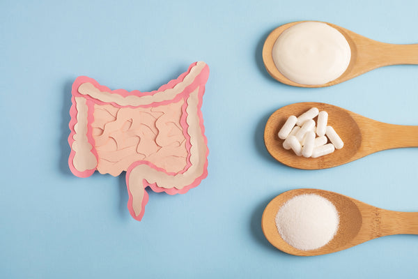 How Long Do Vaginal Probiotics Take To Work How Long Do Probiotics Take to Work?