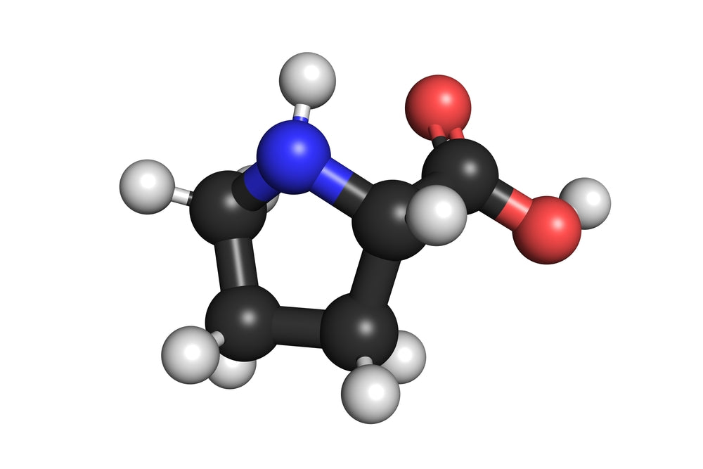 What Is L-Proline?