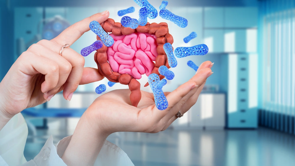 how to get rid of bad bacteria in the gut