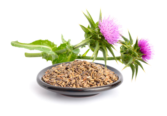 Milk Thistle for Liver Health and Longevity