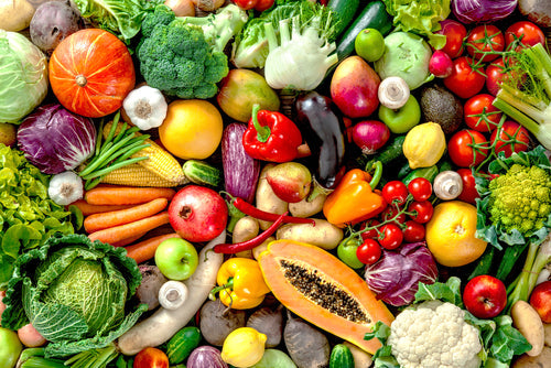 The Gut Terrain Diet: A Guide to Supporting Gut Health