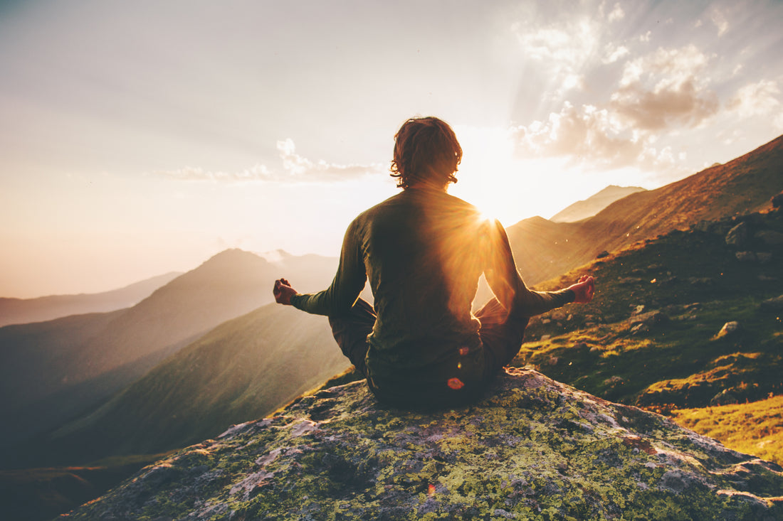 How to Lower Cortisol Levels: Managing Stress in the 21st Century.