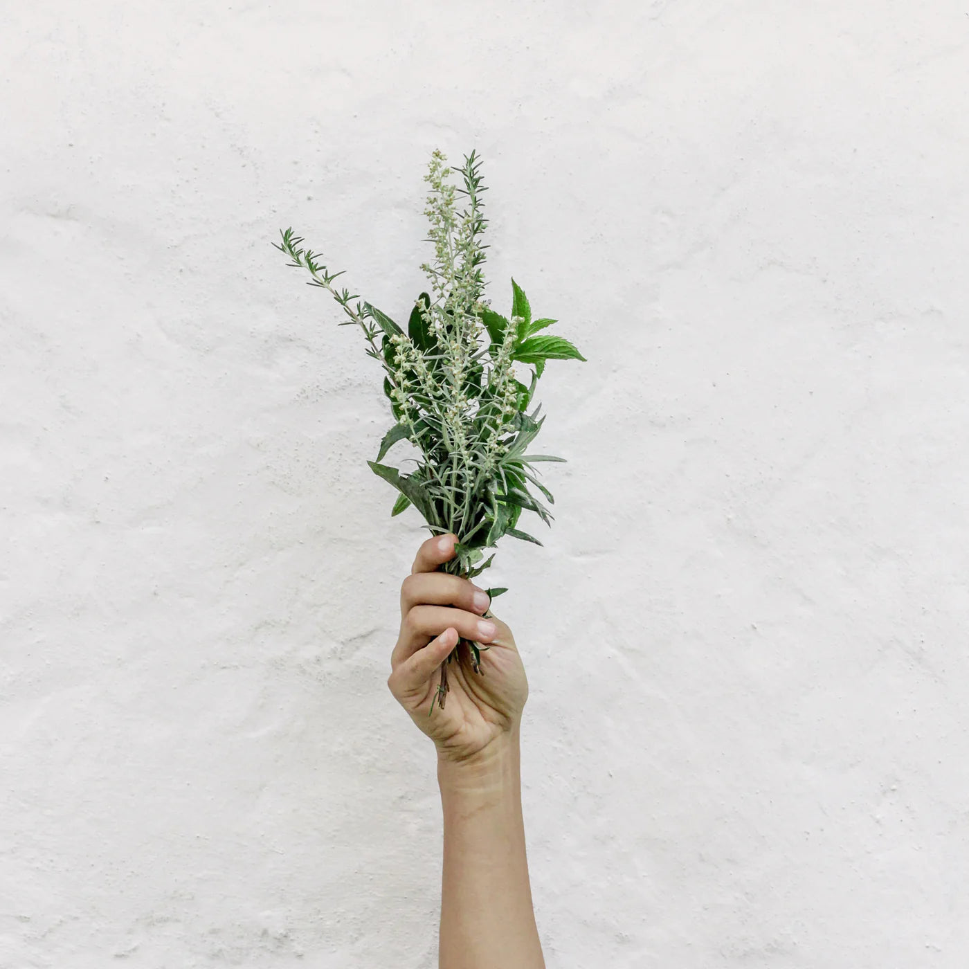 Vegan and Vegetarian Supplements