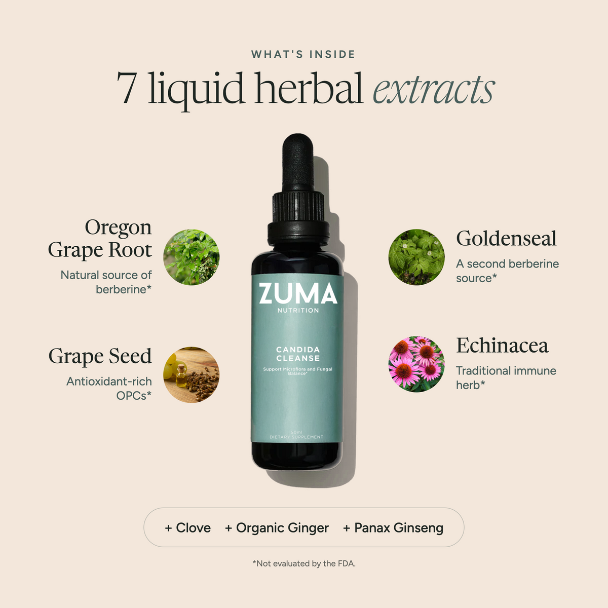 Candida Cleanse Tonic