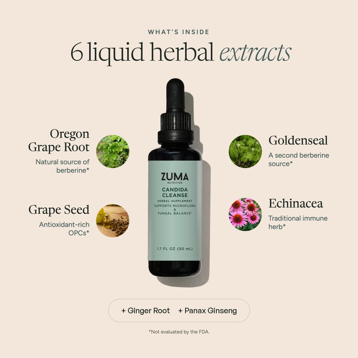 What's inside Candida Cleanse Tonic