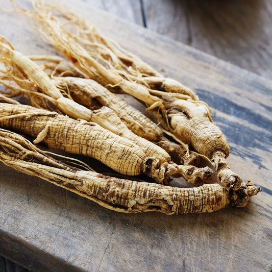Panax Ginseng: All the Health Benefits