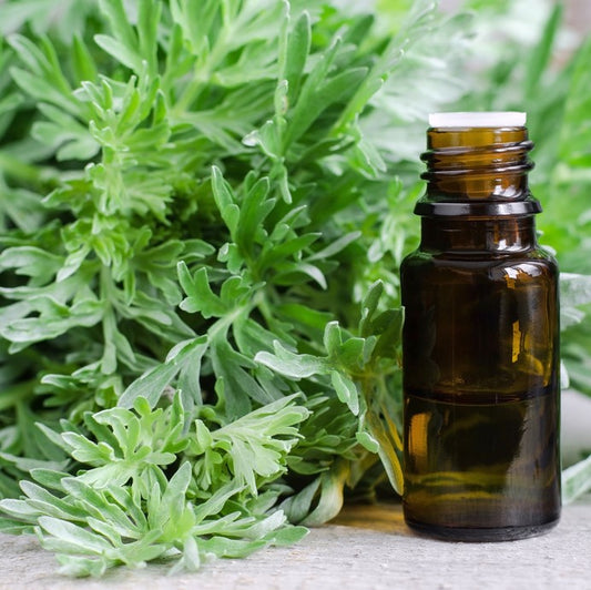 Top 7 Herbs that Kill Parasites