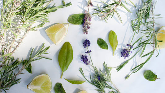 aromatic herbs
