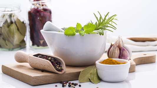 galactagogue herbs