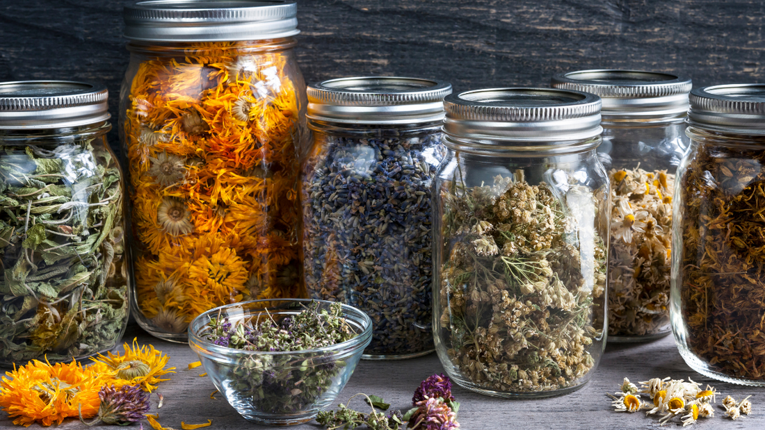 diuretic herbs