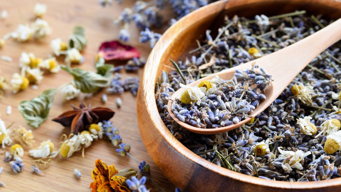 nervine herbs