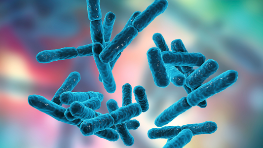 probiotics CFUs