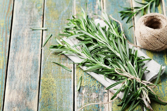 rosemary has powerful antioxidant and anti-stress benefits