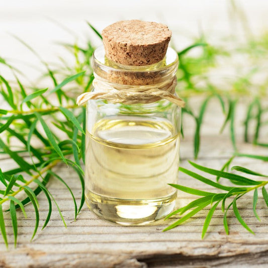Clove Essential Oil on a wooden table