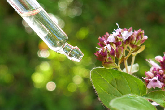 Pure organic oregano essential oil in a pipette with fresh oregano leaves