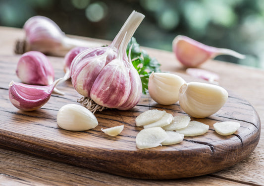 Garlic bulb and garlic cloves on the wooden table in the garden.