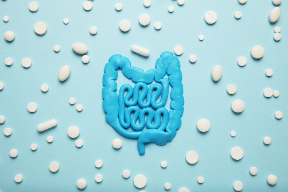probiotics and antibiotics