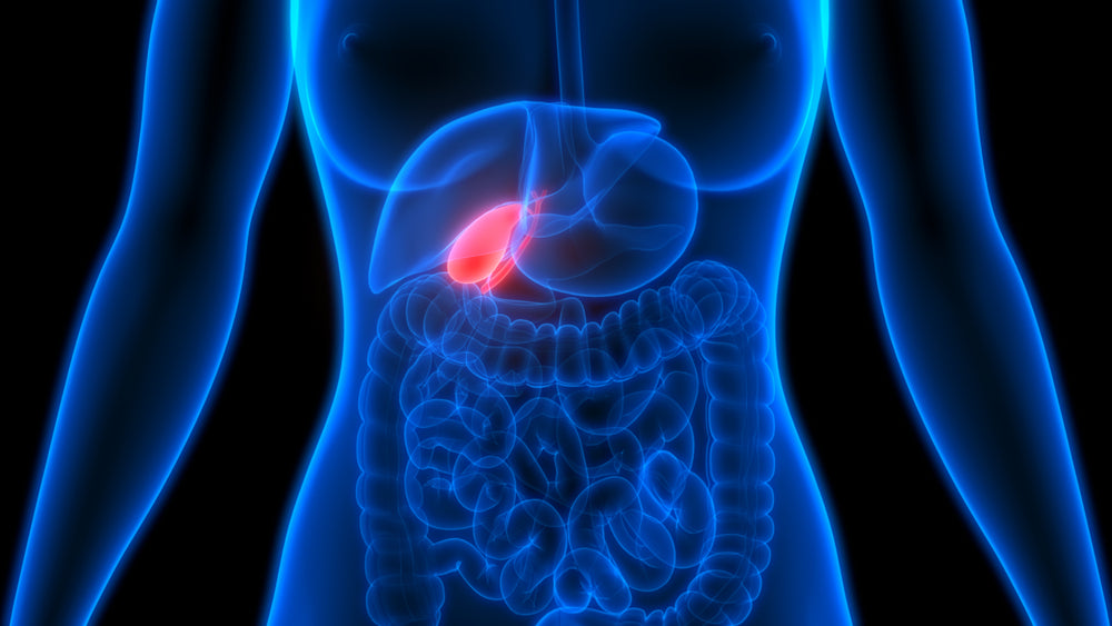 Gallbladder Health 101 | Foods for Gallbladder Health and More!