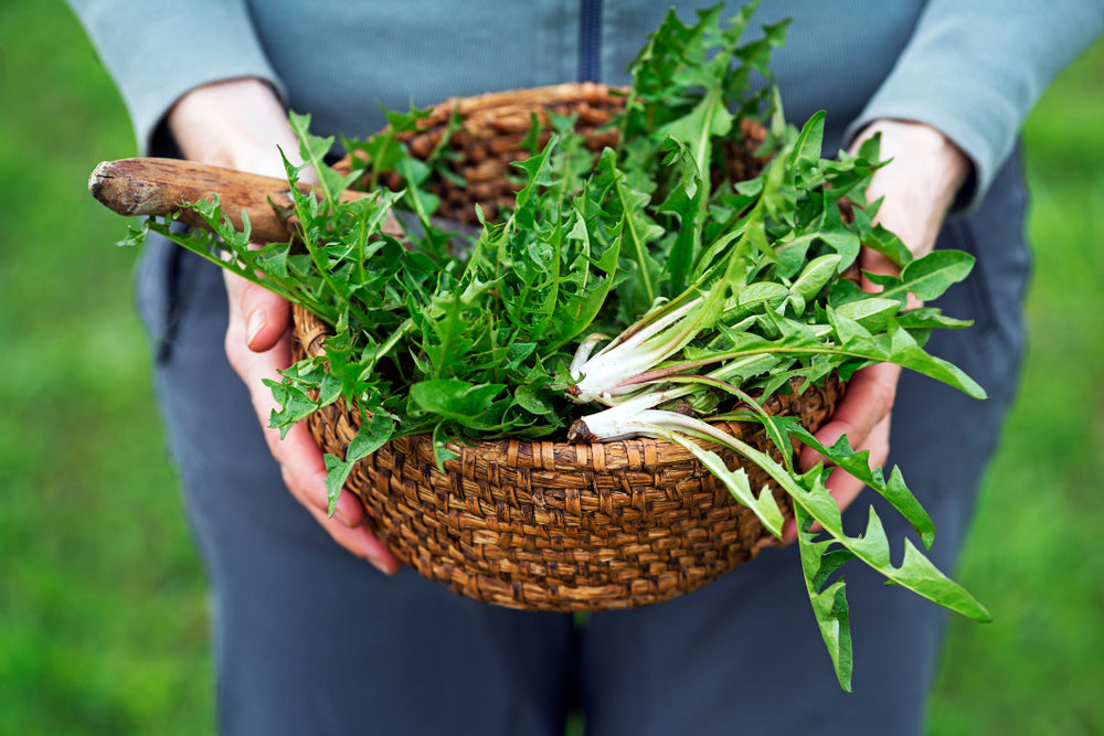 What Is Health and Wellness?