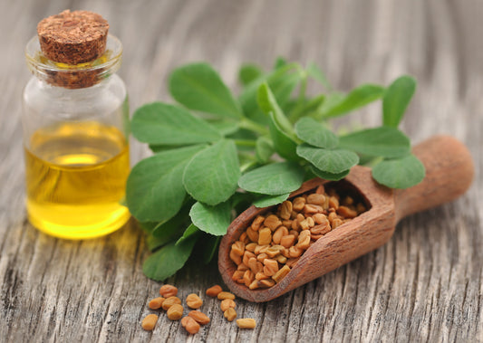 Fenugreek | Zuma Nutrition