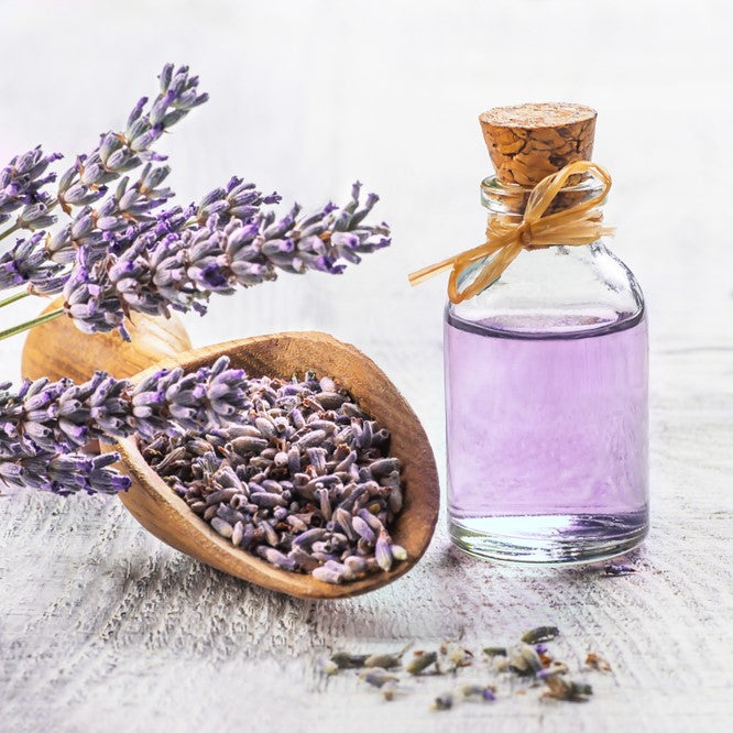 Top 7 Essential Oils for Anxiety