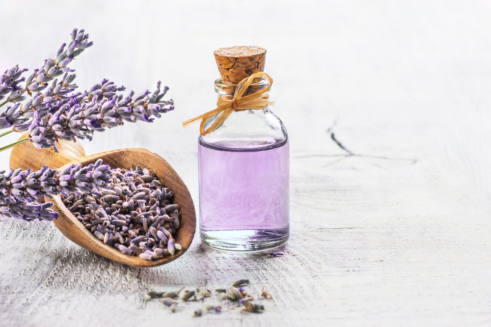 Best Essential Oils for Burns