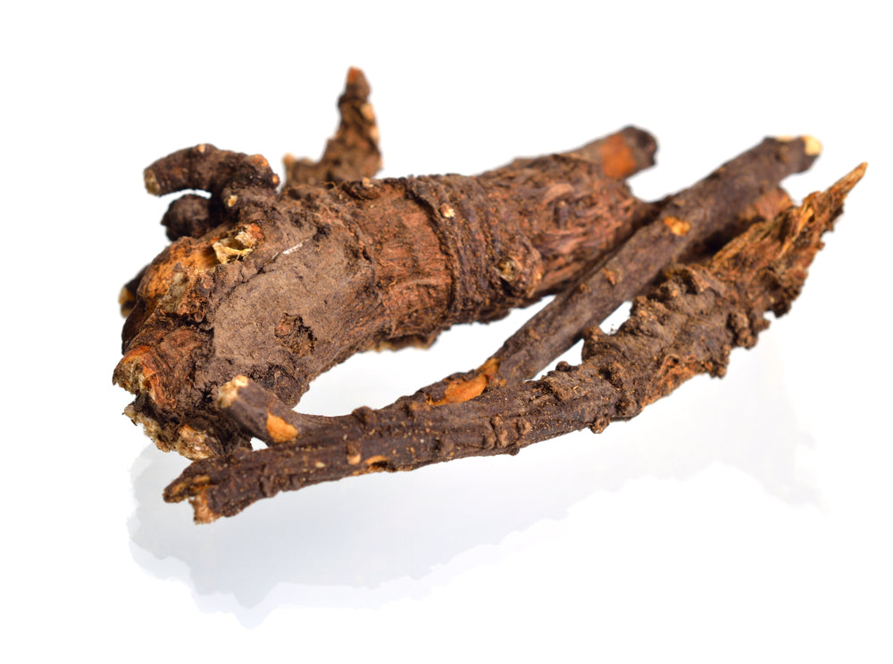 Osha Root Benefits and Uses
