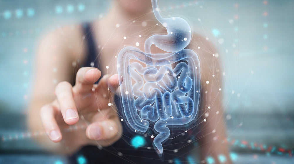 Rope Worms: Are They Real? What the Research Says About Rope Worms & Mucoid Plaque