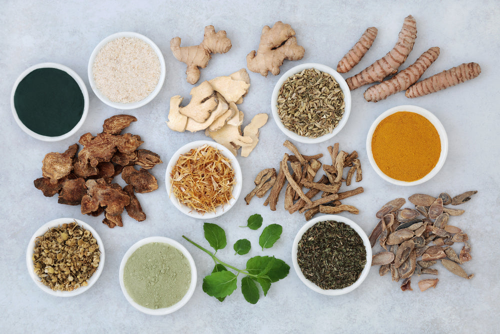 Best Herbs for Colon Health