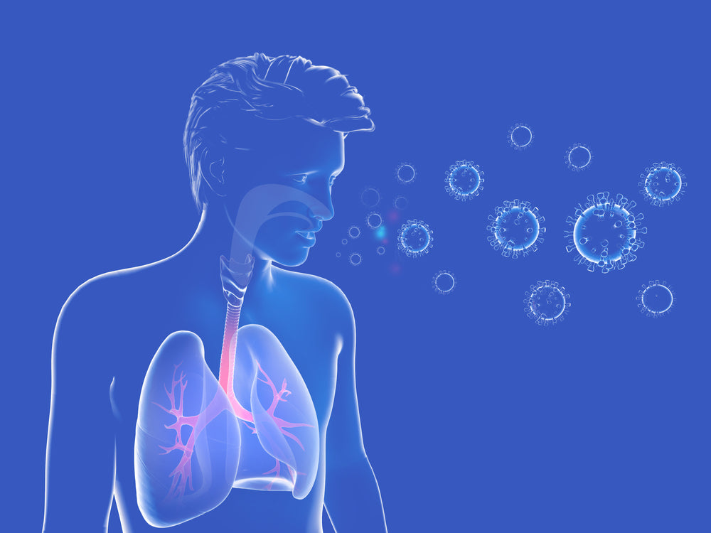 mucus in lungs