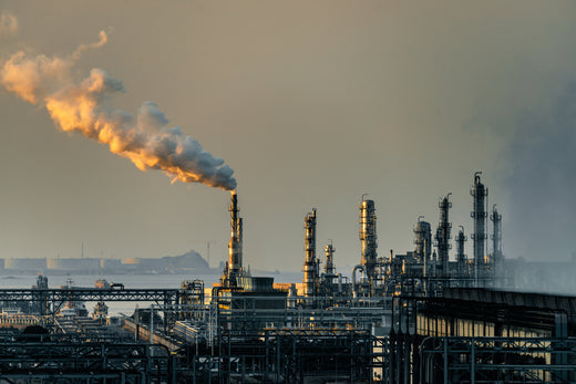 environmental toxins