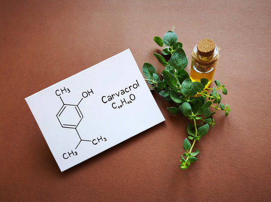 Carvacrol: The Powerful Compound Found in Oregano Oil