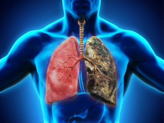 How to Clean the Lungs Naturally