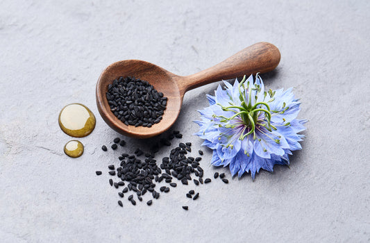 Black cumin seeds with nigella sativa flower on gray stone background
