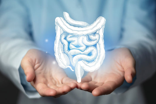 probiotics and colon health