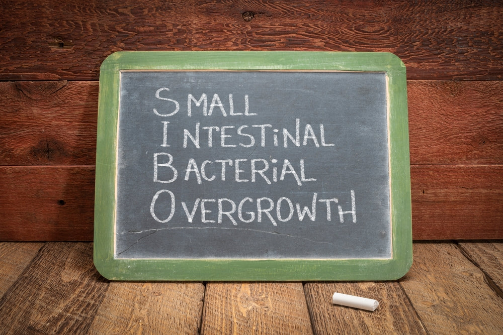 SIBO - small intestinal bacterial overgrowth written on a chalkboard