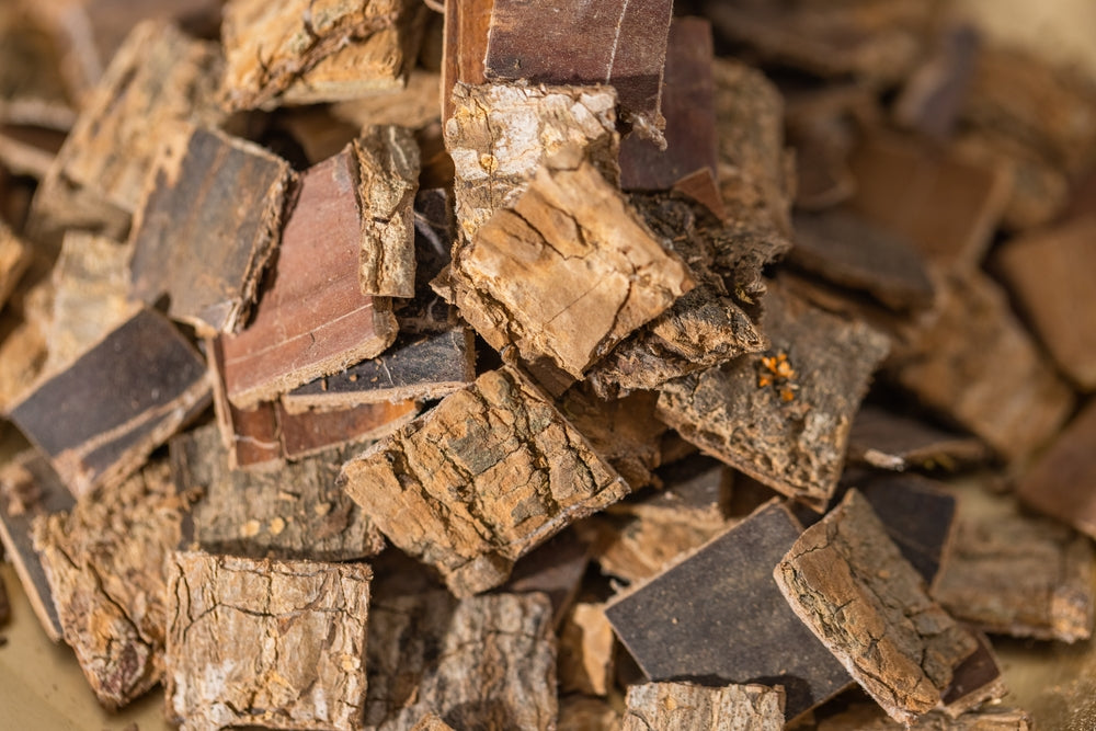 Pygeum Bark Health Benefits and Uses