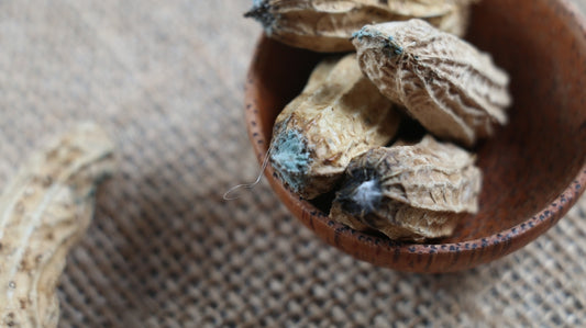 aflatoxins