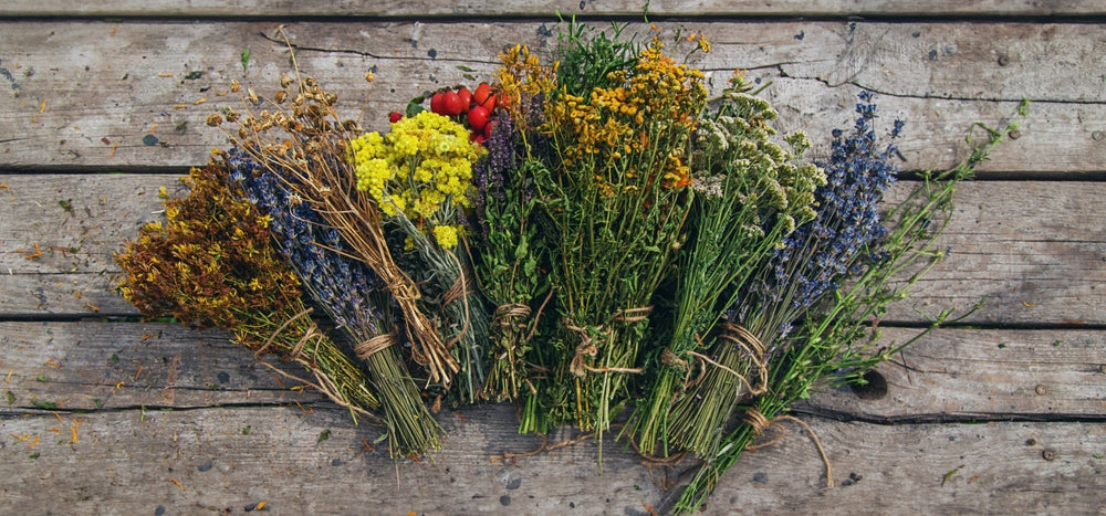 Dried medicinal herbs on the table. Selective focus. nature.