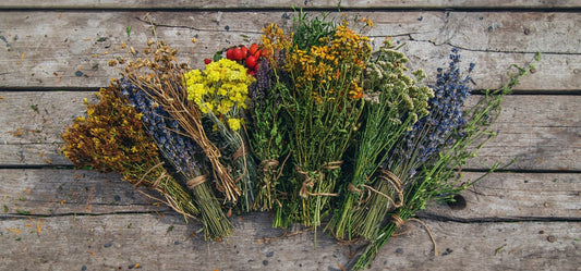 Dried medicinal herbs on the table. Selective focus. nature.