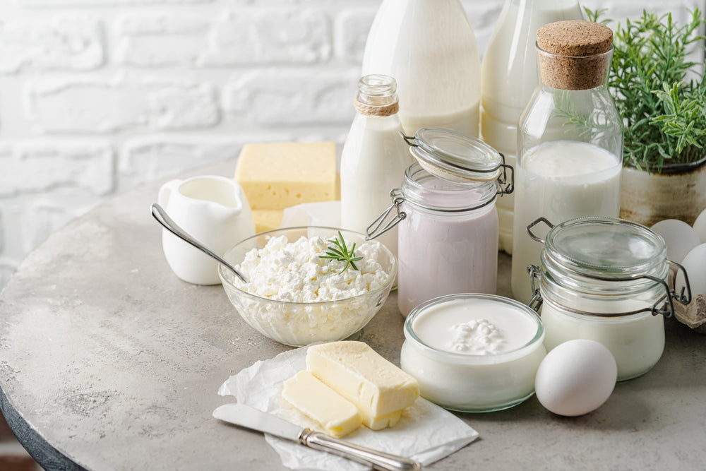 Eggs, milk, yogurt, and cheese — dairy and eggs are rich sources of lysine